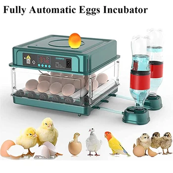 инкубатор для яиц 10-48 с автоматическим переворачиванием яиц и контролем влажности Брудер для птиц, Перепелиных Куриных утиных яиц, инкубаторы для выведения фермерских яиц