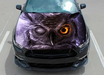Наклейка на автомобиль с изображением животного в виде совы, графическая виниловая наклейка, рисунок на крышке, наклейка на упаковку, индивидуальный дизайн 