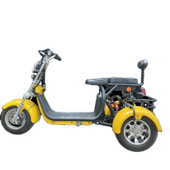 Настройте электрический трехколесный велосипед мощностью 1000 Вт с дифференциальным двигателем 3 колеса trike ce для взрослых пассажиров и грузоперевозчиков
