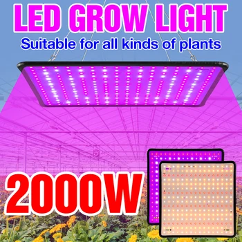 Фито Светодиодная лампа для выращивания растений в теплице, полный спектр 2000 Вт, Система выращивания гидропоники, Квантовая доска для выращивания фитолампы